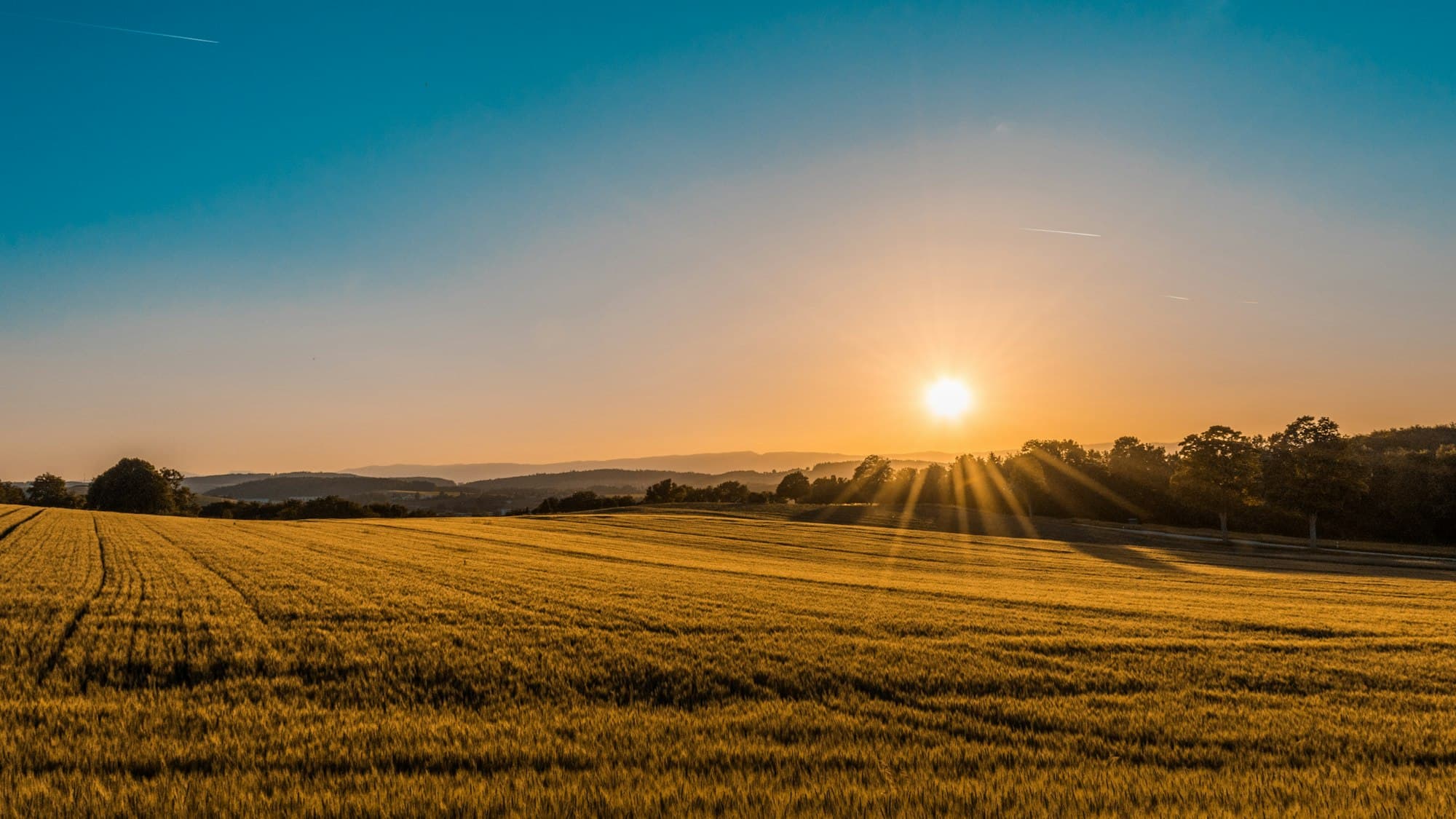 A wide green field under a pale sky