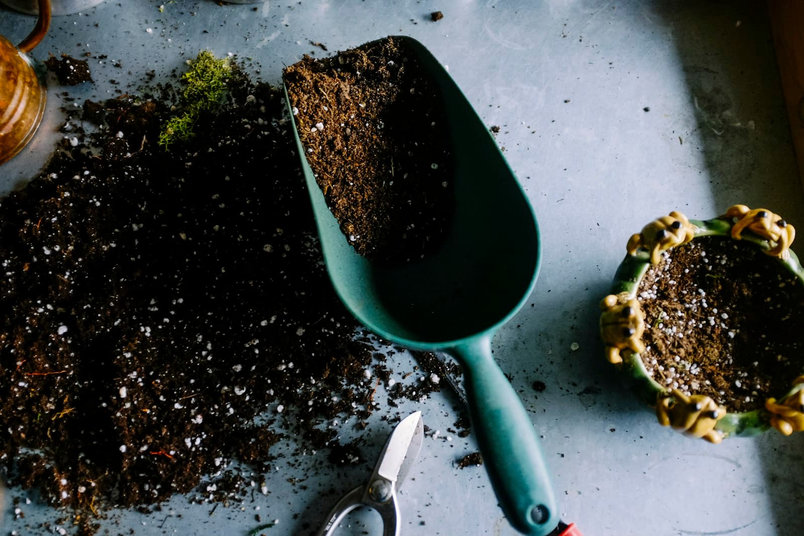 Hands holding dark soil